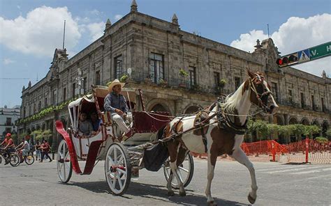 jalisco calandrias.